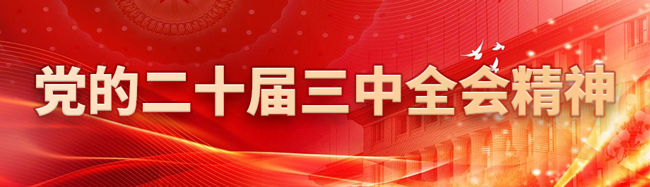 二十届三中全会