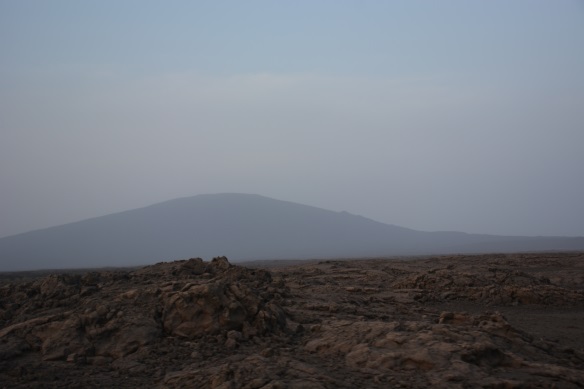 说明: DSC_3932