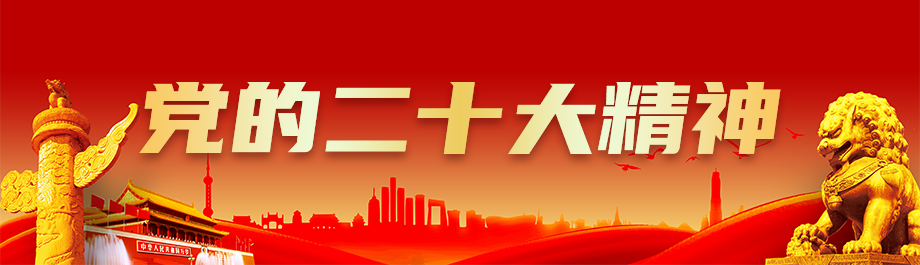 二十大精神