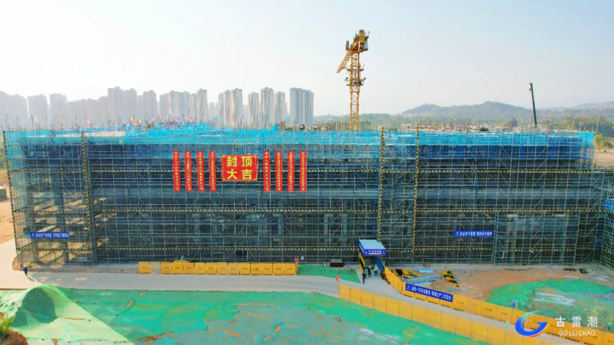 微信图片_20250103103126_副本